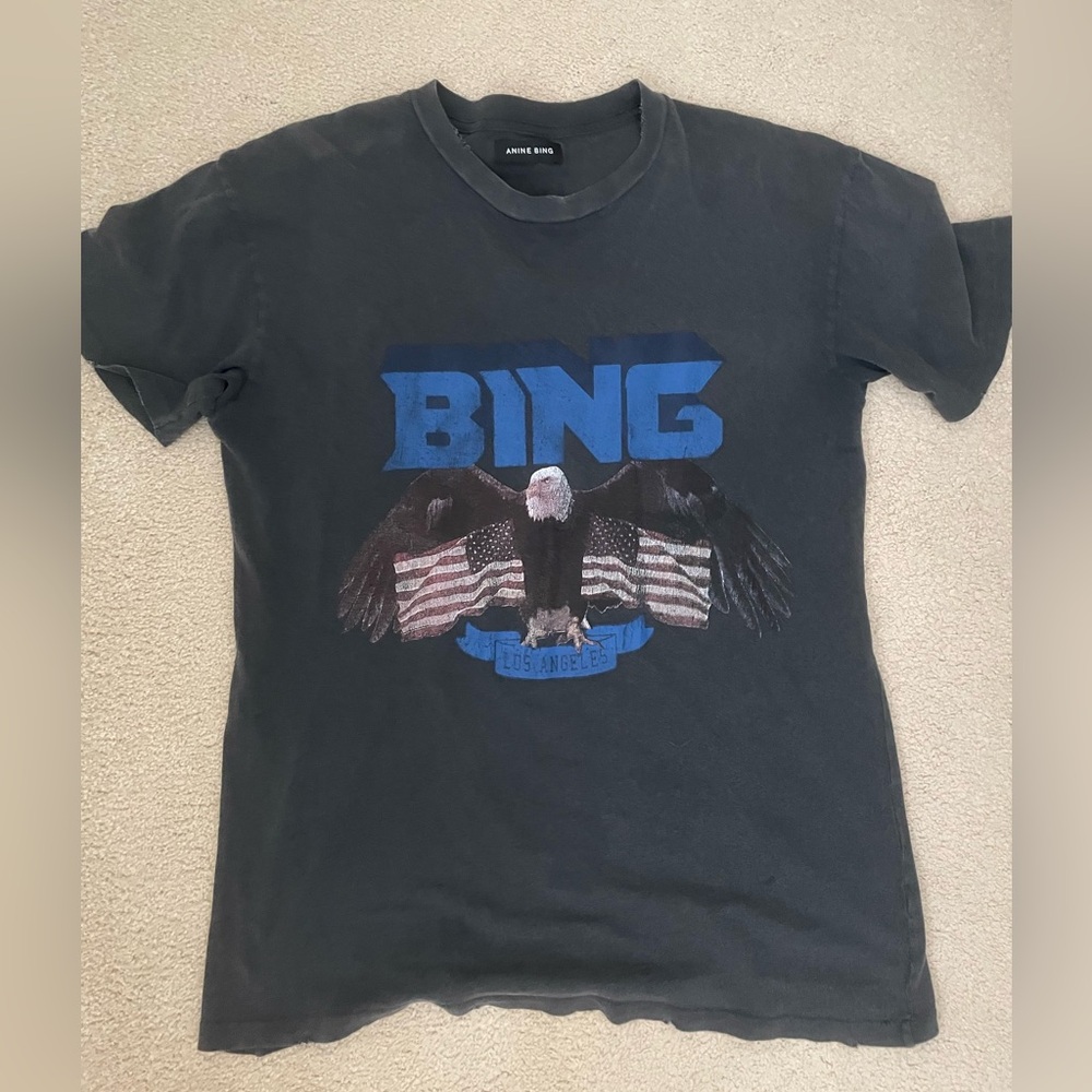 Anine Bing